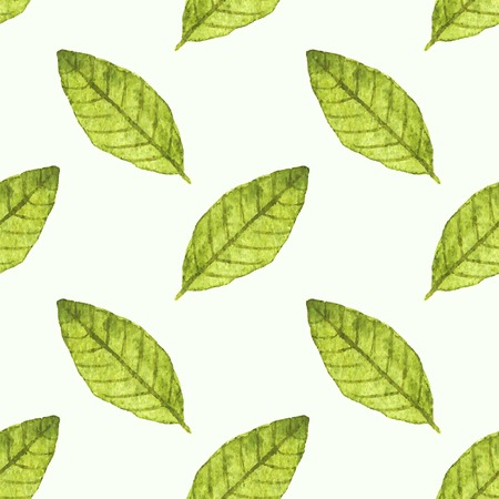 Seamless watercolor pattern with bayleaf on the white backgroundのイラスト素材