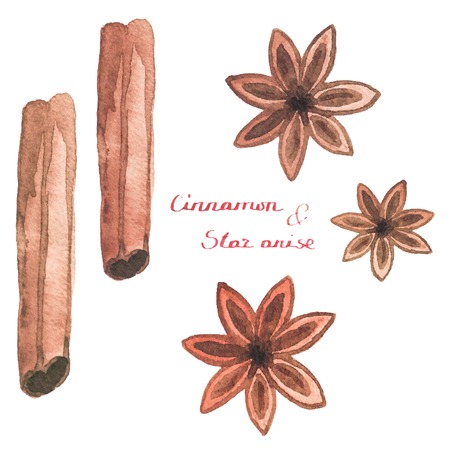 Watercolor cinnamon and star anise on the white backgroundのイラスト素材