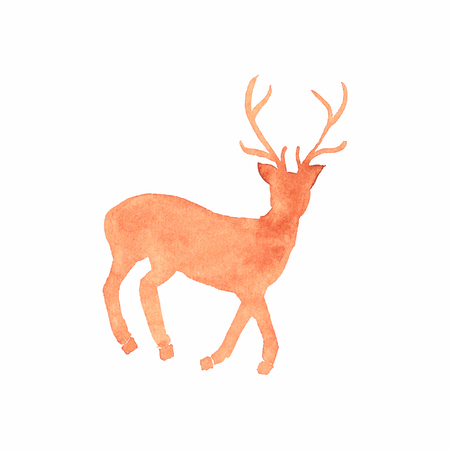 Watercolor deer on the white backgroundのイラスト素材