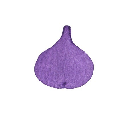 Common figs. Watercolor fig on the white background, aquarelle. Vector illustration. Hand-drawn fruit decorative element useful for invitations, scrapbooking, design.のイラスト素材