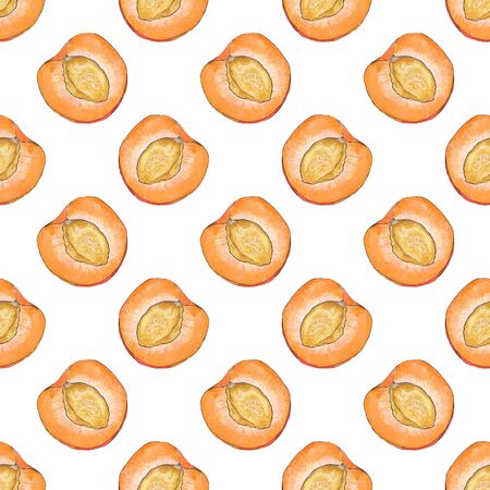 Apricot. Seamless pattern with fruits. Hand-drawn background. Vector illustration. Real watercolor...