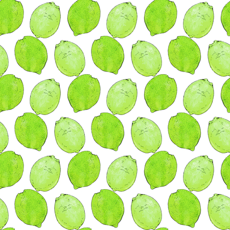 Limes or lemons. Seamless pattern with fruits. Hand-drawn background. Vector illustration. Real watercolor drawing.のイラスト素材