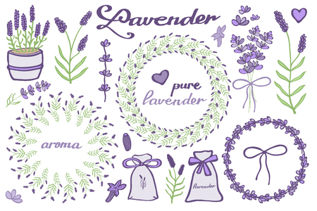 Lavender set. Hand-drawn cartoon lavandula collection - flowers, calligraphy, floral elements. Doodle drawing. Vector illustration.のイラスト素材