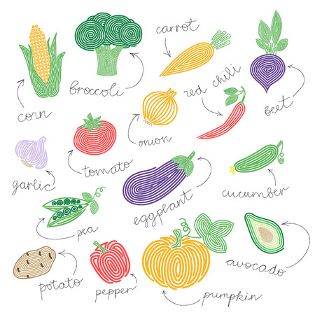 Vegetable set. Spiral harvest with namings on the white background.のイラスト素材