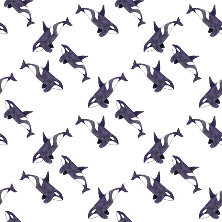 Orca or killer whale. Seamless pattern with hand-drawn animal - Orcinus orca on the white background. Real watercolor drawing.の写真素材