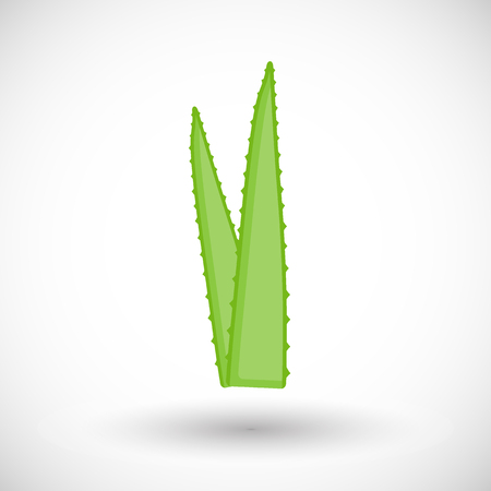 Aloe vera plant vector flat icon, Flat design of medicine, cosmetology and healthcare with round shadowのイラスト素材