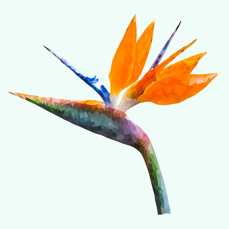 Low-poly vector flower, low polygon bird of paradise or strelitzia plant design on the light green background, abstract geometric vector illustrationのイラスト素材