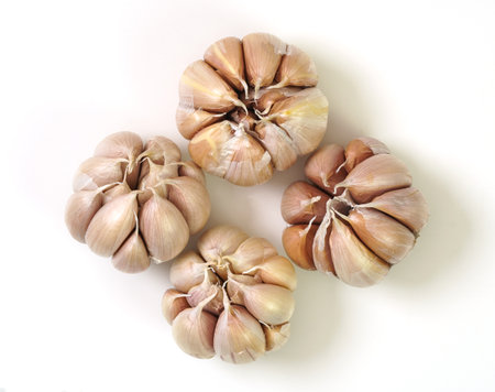 Top view of four whole garlic bulbs placed on a white background showcasing natural texture and papery skin. Ideal for culinary, agricultural, and botanical themes.の写真素材