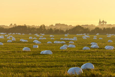 Rolls of hay on the fieldの写真素材