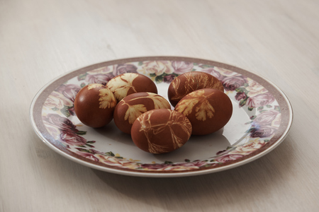 Dyed Easter eggs with plantsの写真素材