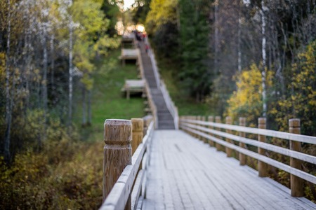 wooden staircase in the forest in autumn