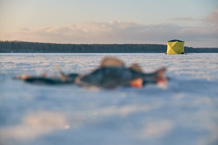 Tent for winter fishing stands on the seaの写真素材