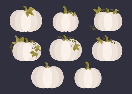 White Pumpkin Set, Cream Color Pumpkins with Stems and Vines and Leaves, Vector Illustrationのイラスト素材