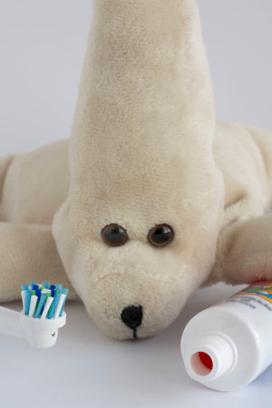 The daily oral hygiene in children Prevents tooth decay and keeps your mouth healthy