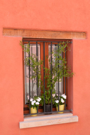 Window with flowersの写真素材