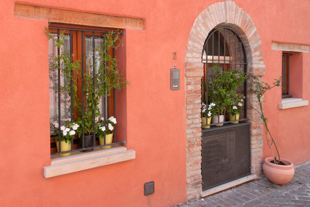 Door and windows with flowersの写真素材