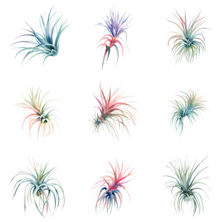 Tillandsia.Set of colorful tropical leaves on a white background. Vector illustration.のイラスト素材