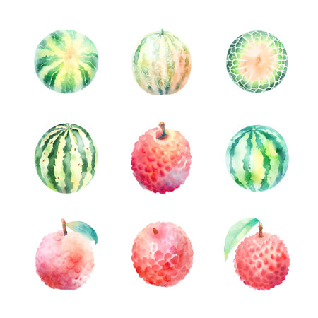 Watercolor set of watercolor fruits,lychee and melon,isolated on white background. Hand drawn illustration.のイラスト素材