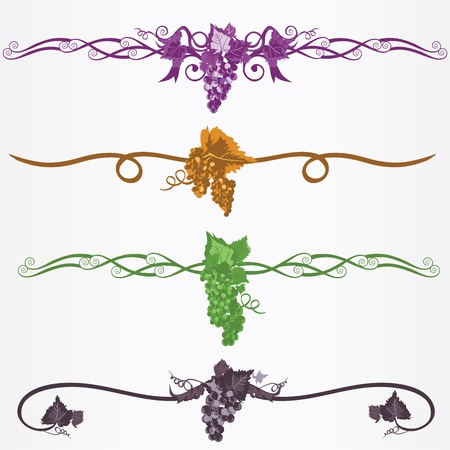 grapes frame rulelineのイラスト素材