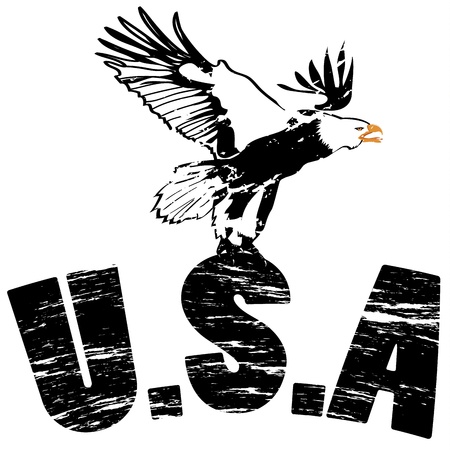 Eagle with usa in grunge illustrationのイラスト素材