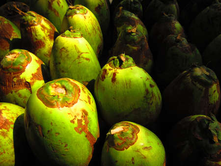 GREEN COCONUT HALF UNDER SHADE AND HALF EXPOSED TO LIGHT 