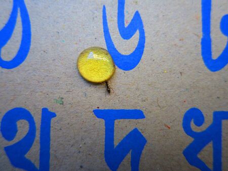 AN ANT ALONE AND LOTS OF FOOD.の写真素材