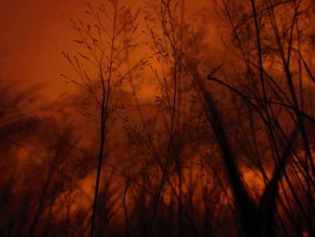 fiery red sunset.の写真素材