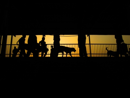 SUNRISE AT BRIDGE OF  RAILWAY STATIONの写真素材