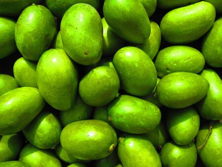 GREEN MANGOES の写真素材