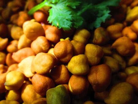 CHANA OR CHICKPEA CLOSEUP の写真素材