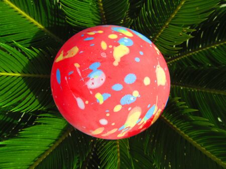 BALLOON ON A TREE の写真素材