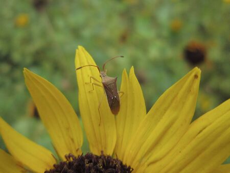 natureの写真素材
