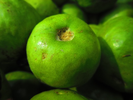 greeenの写真素材