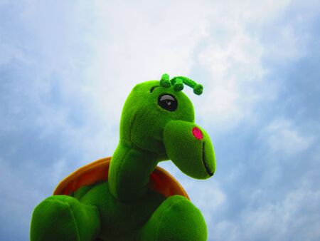 toy