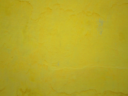 yellow background の写真素材