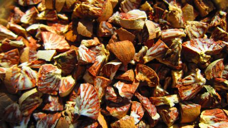 tobbacoの写真素材