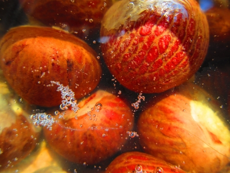 water in tobbacoの写真素材