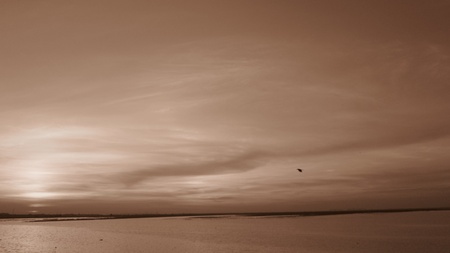 Amazing sunset shot in sepia mode.の写真素材