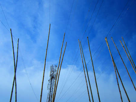 Bamboo pole used to carry electrical line の写真素材