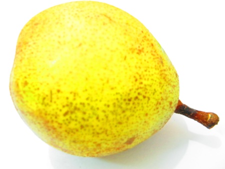 Pear in white backgroundの写真素材