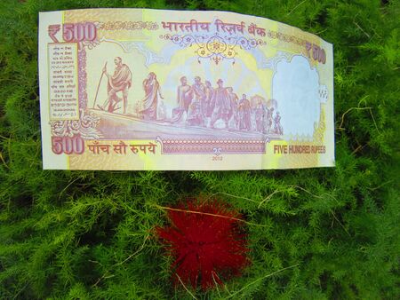 INDIAN MONEY
