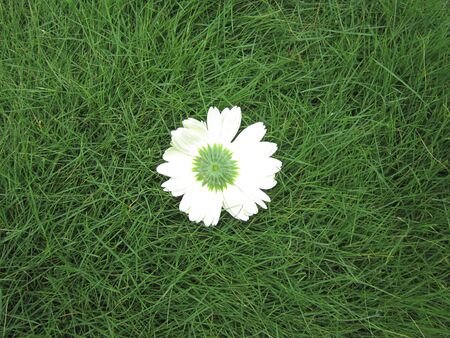 CREATIVEの写真素材