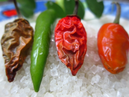 dry and green chillies on sugarの写真素材