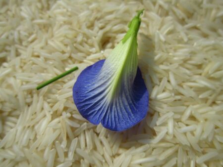 FLOWERS ON RICE CONCEPTの写真素材
