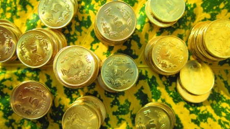 COINS BEAUTIFULLY SHOT OVER COLORFUL LEAF