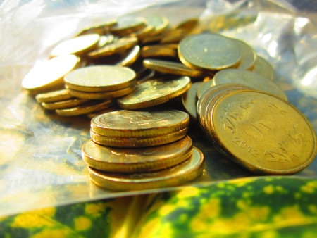 COINS BEAUTIFULLY SHOT OVER COLORFUL LEAF