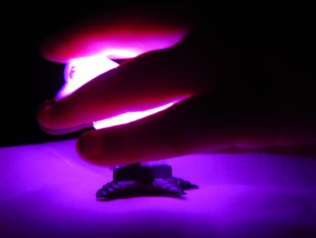 CREATIVITY WITH LIGHT