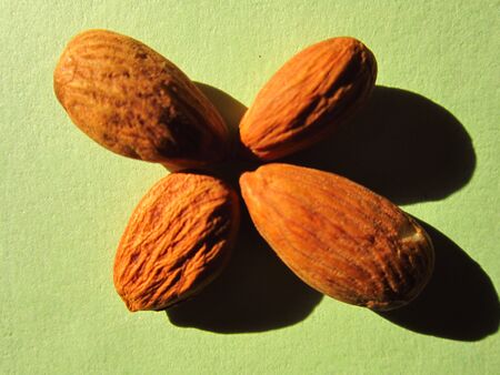 ALMONDの写真素材