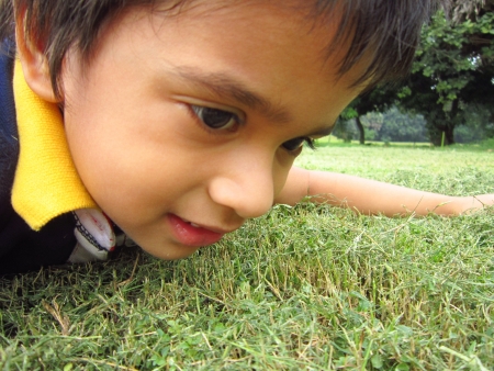 GIRL LOOKING INTO GREEN GRASS WHILE LYINGの写真素材