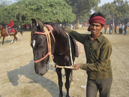 HORSE SELLER AT FAIR.SHOT DURING MORNING HOURS ON 02.12.12 AT SONEPUR FAIR, SONEPUR, BIHAR, INDIA.のeditorial素材